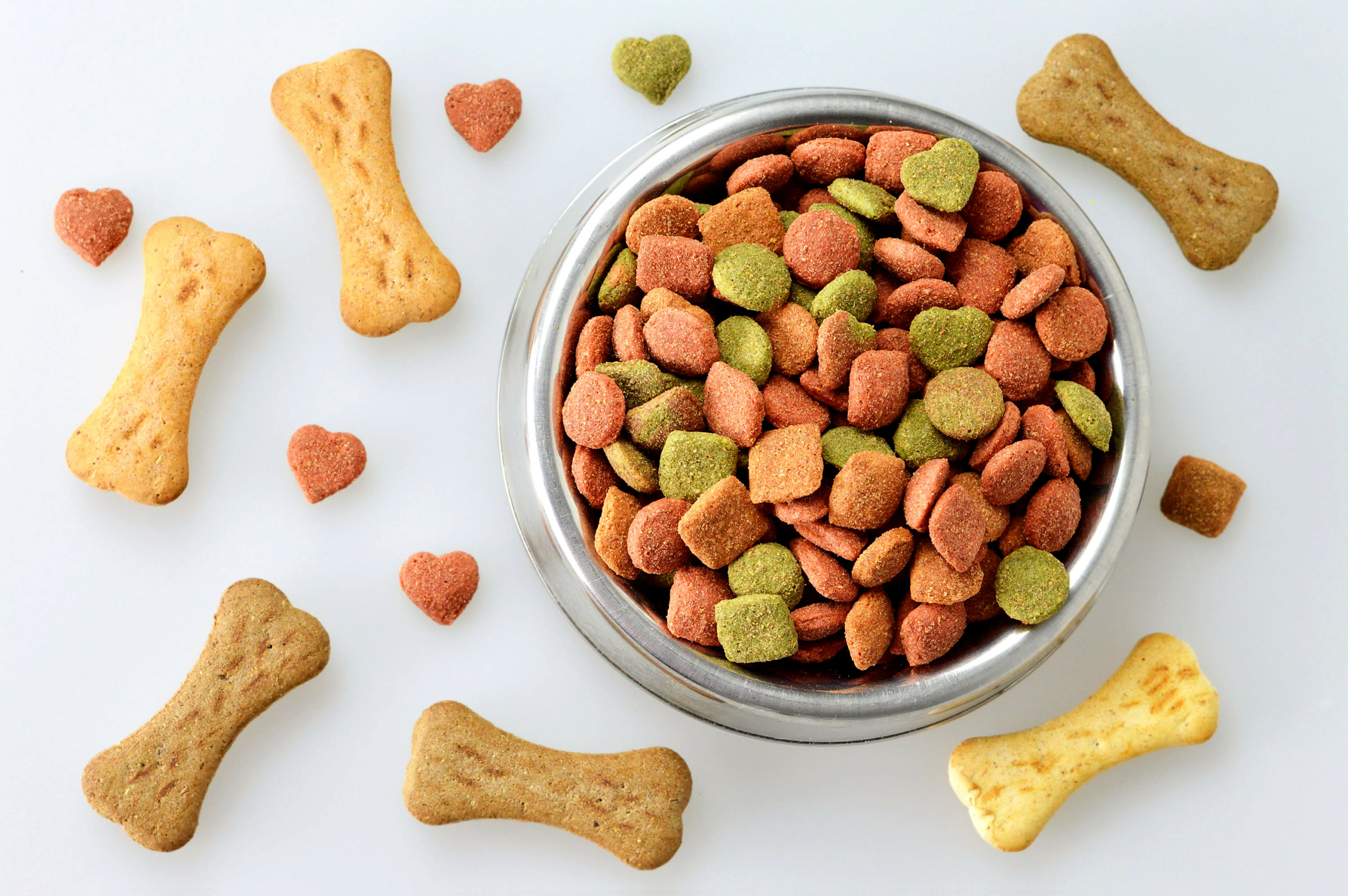 MicroDried dried ingredients Carrots in dog food and biscuits