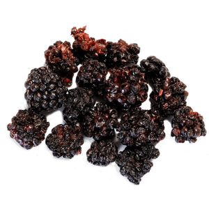 MicroDried dried ingredients blackberry