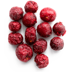 MicroDried dried ingredients cranberries